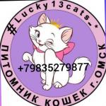 Cattery LUCKY13CATS